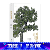 树的故事:改变人类生活的100种树 [正版]树的故事 改变人类生活的100种树 一本以科学事实讲述树木故事的植物学科普
