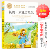 正版新书]名师教你读经典《汤姆·索亚历险记》(美)马克·吐温9787