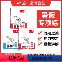 RJ[阅读+口算+字帖]一升二 小学通用 [正版]暑假阅读口算练字帖一升二升三升四暑假衔接语文数学英语暑假作业人教 二