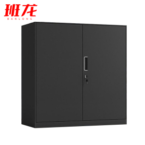 班龙铁皮储物柜双门台
