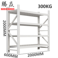 腾焱货架中型组