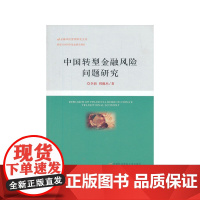 中国转型金融风险问题研究