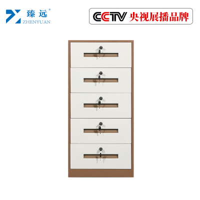 臻远钢制带锁铁皮柜资料柜储物柜 五抽咖色