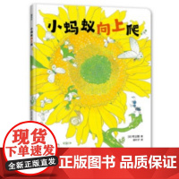小蚂蚁向上爬(活力满满的早安绘本,每个孩子都是元气宝宝,属于低龄宝宝的自然认知绘本,大开本竖翻书,一场书页间的向日葵观