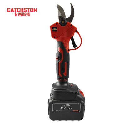 卡西斯顿 电动修枝剪 一电一充 台