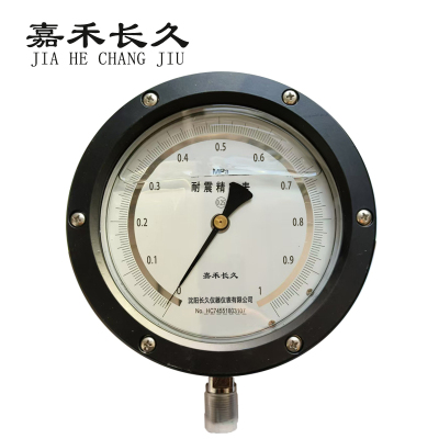 嘉禾长久+耐震抗震精密压力表检测定制型+YBN150 0.25级+块