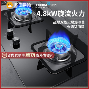 迅达QT2HA燃气灶煤气灶节能双灶家用钢化玻璃嵌入式液化气炉灶灶台灶具官方旗舰店(液化气)