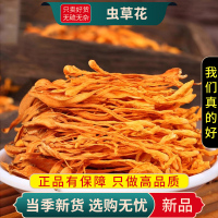 虫草花100克正品新货不老草蛹虫草北虫草火锅煲汤食材9260