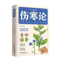 音像伤寒论:白话彩图典藏版辛丽静