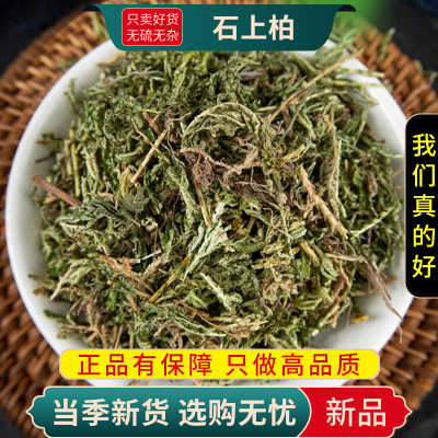 甄选石上柏100克正品煮水肺筋草石上柏凤尾草干货无硫9260