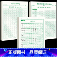 [下册]同步字帖5下+同步作文字帖+素材积累字帖 [正版]五年级上册字帖语文同步练字帖人教版小学生硬笔书法练字本楷书笔画