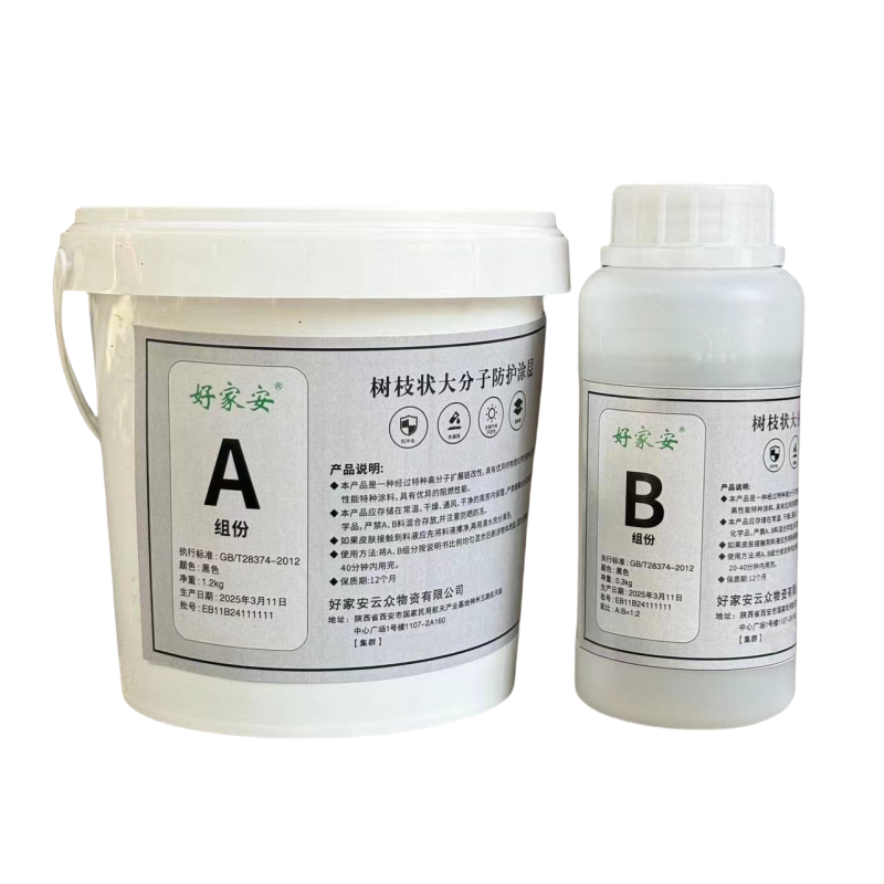 好家安 树枝状大分子防护涂层(含施工) 黑色/1.5kg 单位:组