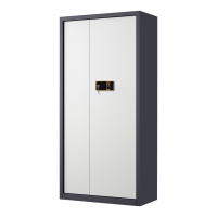 利特莱依指纹电子保密柜钢制密码文件柜档案柜矮柜保密资料柜办公柜通门灰白色:钥匙指纹锁