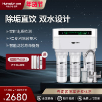 汉斯顿/Hunson家用厨下直饮RO反渗透净水器净水机1503 双膜双水直饮 滤芯更换提醒
