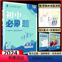 数学[苏科版] 九年级下 [正版]2024初中九年级下册苏科江苏版理想树初三9年级中考同步训练配套练习册基础题压轴大题计