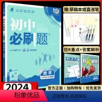 数学[苏科版] 九年级下 [正版]2024初中九年级下册苏科江苏版理想树初三9年级中考同步训练配套练习册基础题压轴大题计