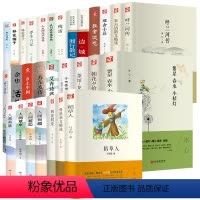 全套29本 [正版]傅雷精选集 翰墨文库 北京燕山出版社 儿童文学现代小说作品青少年中小学生四五六七年级课外阅读书籍