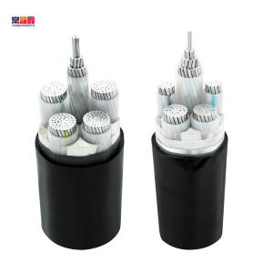 常顺鑫 低压铝芯电缆ZC-YJLV4×95+1×50 米