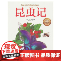 昆虫记(彩图注音版)6-12岁小学生课外阅读书籍 一二三四年级儿