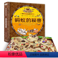 蚂蚁的秘密 [正版]蚂蚁的秘密 奇妙自然生命立体书 儿童3d立体翻翻书书 宝宝早教启蒙绘本翻翻书 幼儿撕不烂神奇生命益智