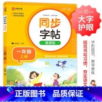 一年级上 小学通用 [正版]同步字帖课课练 同步一二三四五六年级下上册组词笔画顺偏旁生字抄写人教版1-6年级上下册硬笔每