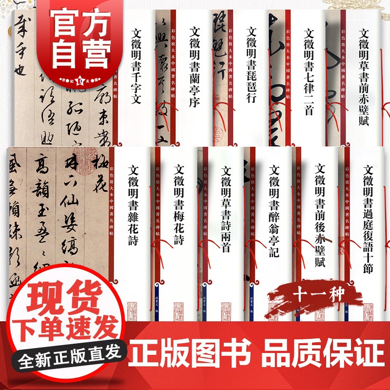 文徵明书法墨迹合集草书前赤壁赋兰亭序行草梅花诗琵琶行千字文杂花诗行书醉翁亭记 彩色放大本中国著名碑帖孙宝文上海辞书出版社