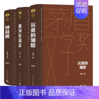 第二届茅盾文学奖作品集 [正版]单本/套装任选茅盾文学奖获奖作品全集额尔古纳河右岸迟子建繁花长恨歌王安忆白鹿原推拿天行者