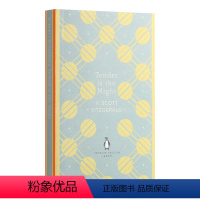[正版]英文原版小说 Tender is the Night 夜色温柔 The English Library 英文版