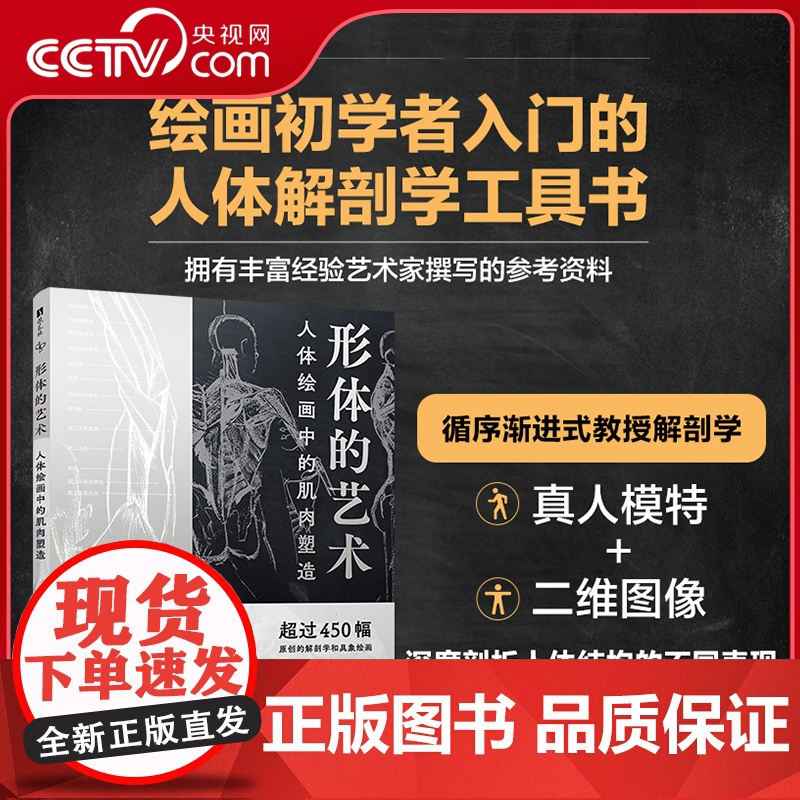 [央视网]形体的艺术人体绘画中的肌肉塑造 雷伊·巴斯托斯著RD人体结构造型动态解剖肌肉绘制人体手绘 人体骨骼结构