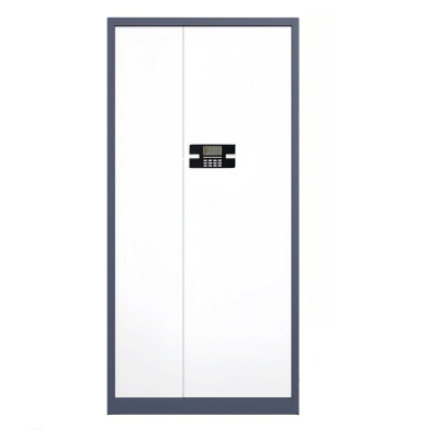 繁哲思密码柜电子锁90*42*185cm台