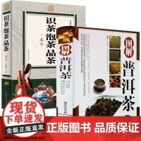 [2册]图解普洱茶+识茶泡茶品茶一本全 书籍