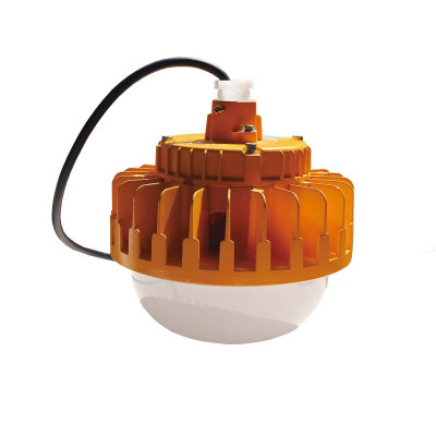 赛时工控(SHSSGK) SKSZD8-4305 AC220V 50W IP65 防水防尘灯 (单位:个) 黄