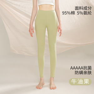 男士纯棉秋裤男薄款纯色全棉保暖裤女内穿高腰大码打底裤线裤