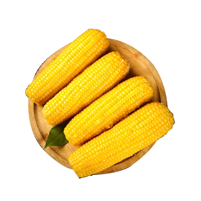 宁百晟黑糯玉米 220g*8根