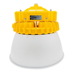 RECEN LED防爆泛光灯(含灯伞) RFBL165-III-200W 个