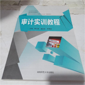 正版新书]审计实训教程李兴尧9787564825997