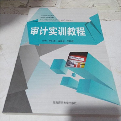 正版新书]审计实训教程李兴尧9787564825997