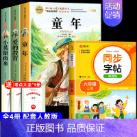 [4册 送考点]六年级上册必读+同步字帖 [正版]全套3册 童年爱的教育和小英雄雨来六年级上册必读的课外书老师经典书目完