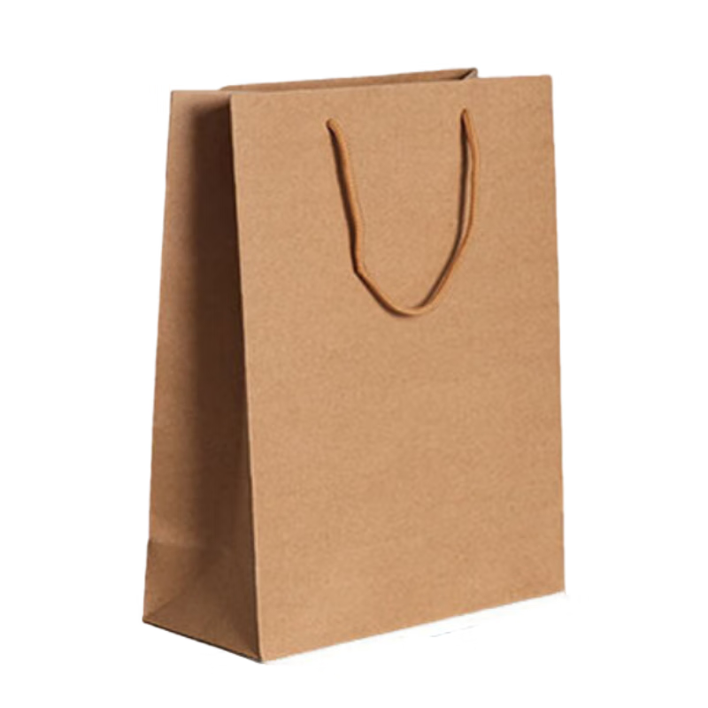 百晟长恒 BSCH-A60GS 25x33x11cm 10个/包 牛皮纸文件袋 (计价单位:包)牛皮色