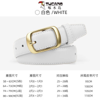 啄木鸟皮带女款女士2025新款裤带装饰配裙子高档白色针扣腰带潮流