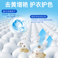 [补贴10%]爆炸盐洗衣去污渍彩漂剂彩色衣物通用泡泡粉家用活氧泡洗粉 1.2kg