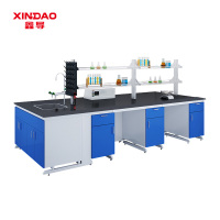 鑫导 实验台 SYT198-全木中央台定制 米