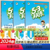 六下:语数英人教版3本 小学六年级 [正版]2024新版53天天练六年级上下册语文数学英语全套人教版北师大版西师外研版小