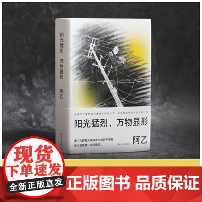 阳光猛烈,万物显形(作家阿乙的人生词典,歌手李健:“阿乙人有趣,作品精彩,这本随笔阿乙 译林出版社 正版书籍