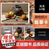 静物照片临摹卡64幅2022沐尚文化高清卡片单个与组合素描色彩写生