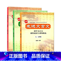 [套装3册]走进文言文 6-9年级 初中通用 [正版]走进文言文六七年级版六七八九年级初中文言文课外阅读与训练精选杨振中