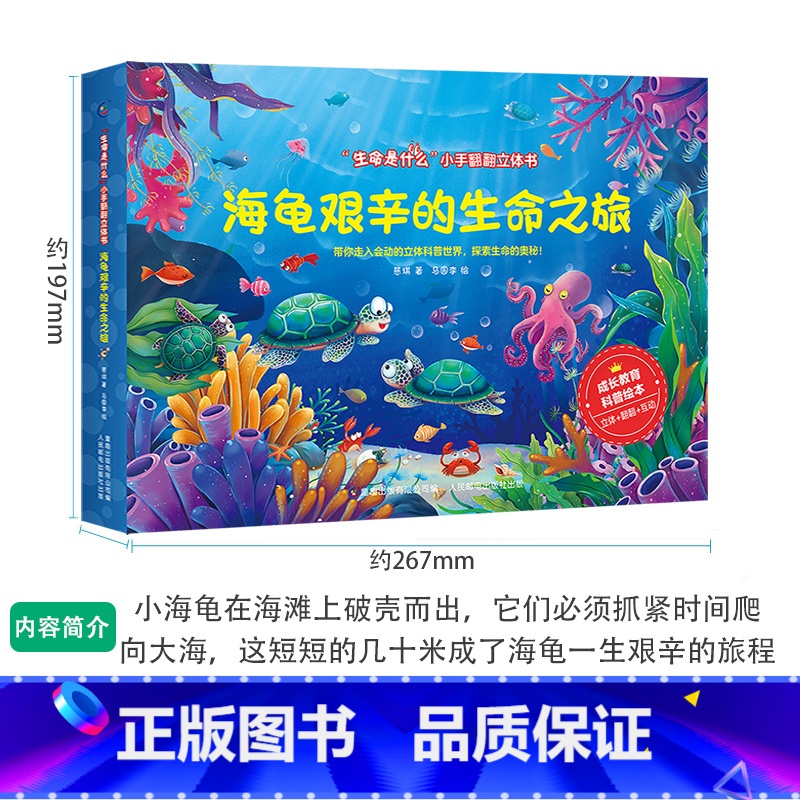 海龟艰辛的生命之旅 [正版]生命是什么小手翻翻立体书儿童3D立体书不一样的青蛙和蟾蜍绘本2-3-6岁以上宝宝启蒙认知动物