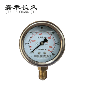 嘉禾长久 耐震压力表检测型 YTN40 块