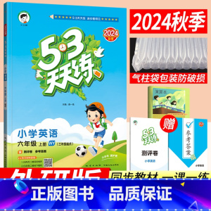 六年级上 [正版]53天天练六年级上册英语外研版WY版(三年级起点)2024秋季小儿郎5.3五三天天练小学6六年级上册英