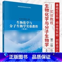 [正版]新版 生物化学与分子生物学实验教程 第2二版 朱月春 杨银峰 主编 强化学生实践能力为指导思想 科学出版社 97